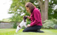 kép: hearingdogs.org.uk