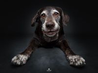 kép:pinterest - Vieler Photography