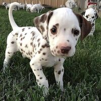 kep: weheartit.com
