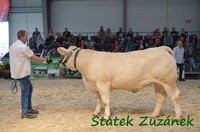 Barbora ze Statku, II. místo v kategorii starších jalovic, Lysá 2018