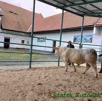 George ze Statku (Latino x Latin) sleduje popadané tašky ze střechy...
