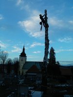 Rizikové kácení břízy bělokoré nad hroby.