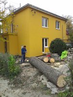 Skácení přerostlého smrku ztepilého v bezprostřední blízkosti domu.