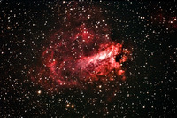 Swan, imagen Astromurcia
