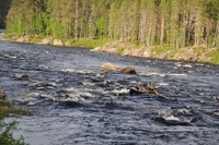 Ett kanotäventyr i norra Finland