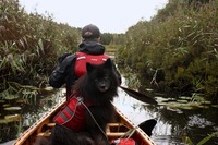 A picture from the tour I was packing for