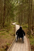 Marian rockar sin rullstol längs spången på Vitsandsrundan.