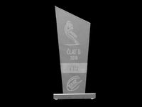 Trofej za vítězství v ČLAF B 2010