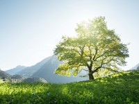l'harmonie de l'esprit et du corps