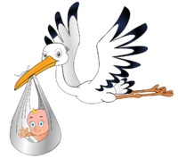 accompagnement à la naissance