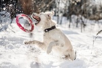 Photo by Anastasia Ulyanova on unsplash