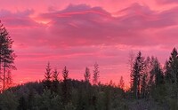 Auringonlasku Puun Sielussa
