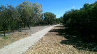 Wirra Wonga - Enfield Memorial Park