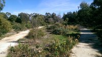 Pilyu Yarta - Smithfield Memorial Park