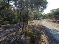 Wirra Wonga Natural Burial Ground