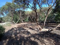 Wirra Wonga Natural Burial Ground
