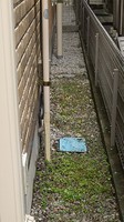 2020年7月ネコの手・草刈・草むしり