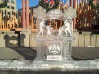 2020 köszöntése Olympia Park, Calgary