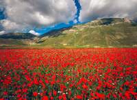 CASTELLUCCIO DI NORCIA