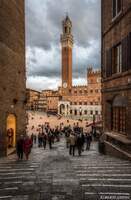 SIENA