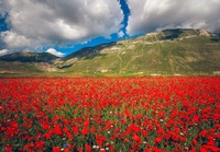 CASTELLUCCIO DI NORCIA