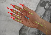 Die Dachziegel-Hand (Walongzhang 瓦壟掌)