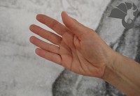 Die Dachziegel-Hand (Walongzhang 瓦壟掌)