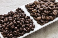 Peaberry vs. klasické zrnko