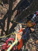 Arborist i Nacka, på Värmdö och södra Stockholm. Erik på Saltsjö Trädvård hjälper dig med trädfällning och trädvård i Nacka, på Värmdö och södra Stockholm.