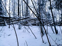 Perinneaitaa Ikipihan tilalla Peri-Sivakassa