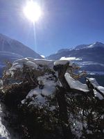 Domingo 20 de Noviembre, el Favonio ha causado fuertes vientos y temperaturas suaves en las regiones montañosas. También el sol saldrá como lo muestra esta imagen de la región Brig.