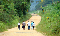Quilombolas caminan por la comunidad de Mandira, Sao Paulo. socioambiental.org / Claudio Tavares-ISA