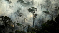 Humo de un incendio en una zona de la selva amazónica cerca de Porto Velho, estado de Rondonia, Brasil, el 10 de septiembre de 2019. Bruno Kelly / Reuters