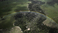 Parte de la selva amazónica talada cerca de la ciudad de Uruara, estado de Pará, Brasil, 22 de abril de 2013. Nacho Doce / Reuters