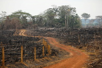Una vista de un camino ilegal construido durante la deforestación en Caquetá, Colombia. el 3 de marzo de 2021 Luisa Gonzalez / Reuters