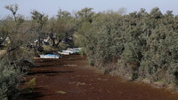 Botes varados en un humedal seco en la orilla del río Paraná, en Rosario, Argentina, el 8 de julio de 2021 Agustin Marcarian / Reuters