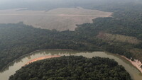 Vista aérea de un río y una parcela deforestada del Amazonas en Rondonia, Brasil. 14 de agosto de 2020. Ueslei Marcelino / Reuters