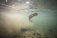 Foto: Getty Images