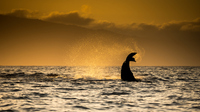 Foto: Getty Images