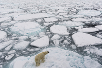 Foto: Getty Images