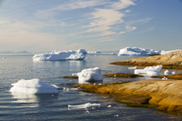 Foto: Getty Images