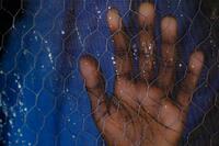 UNICEF/Kokic Una niña presiona su mano contra la malla de alambre de una ventana en Nigeria.