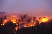 Foto: Getty Images