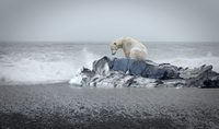 Foto: Getty Images