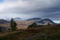 Heimfjellet - foto: Merete Byrøygard