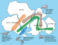 The 'primeval continent', Gondwana, and the distribution of fossil plants and animals.