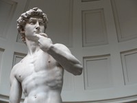 David, carved by Michelangelo in Carrara marble, in 1504.