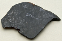Muestra de meteorito con schreibersita (blanco). (Butcherbird en Wikimedia Commons / CC BY 3.0)