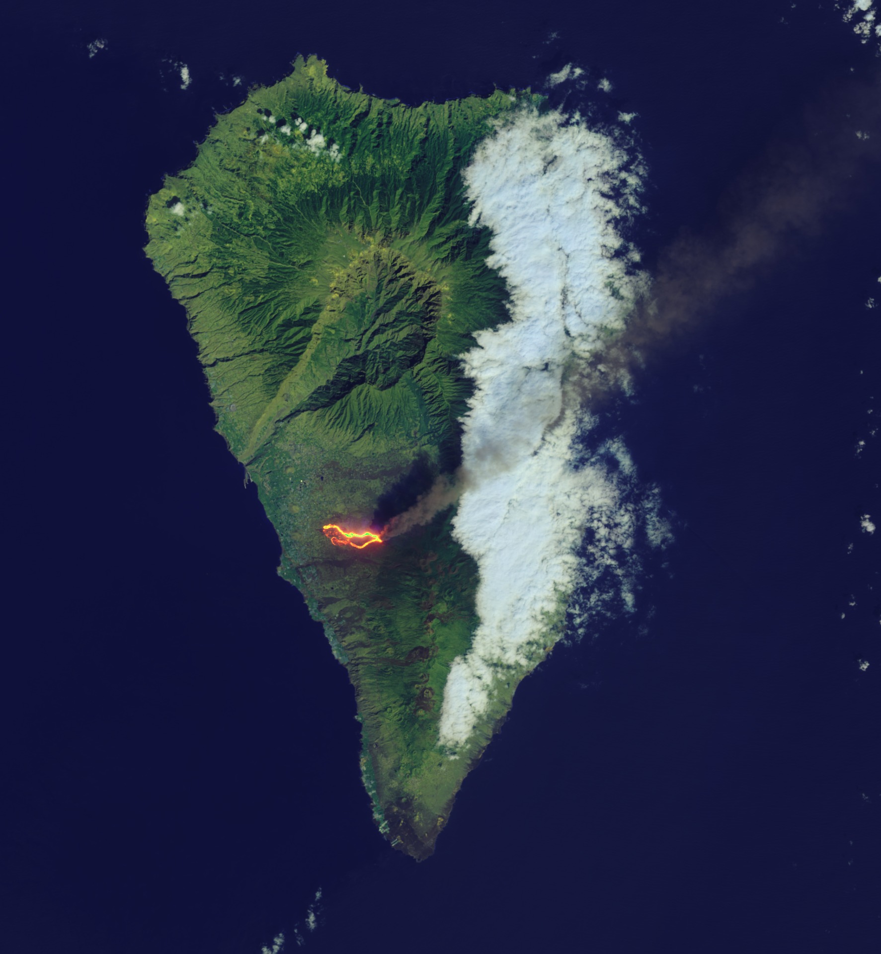 La palma