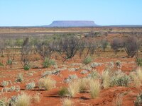 The Outback in Australia (Gabriele Delhey, WikimediaCommons)